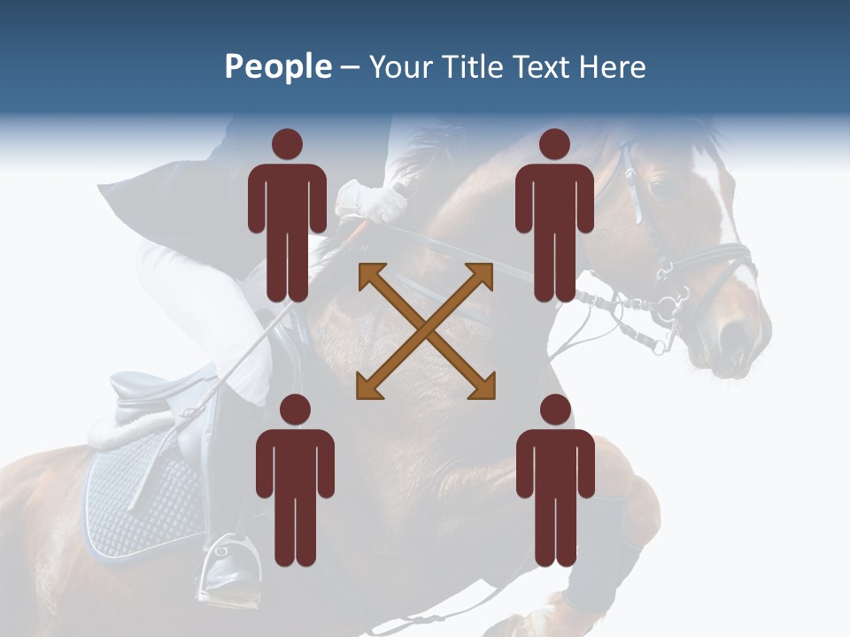 Stallion Caucasian Equine PowerPoint Template