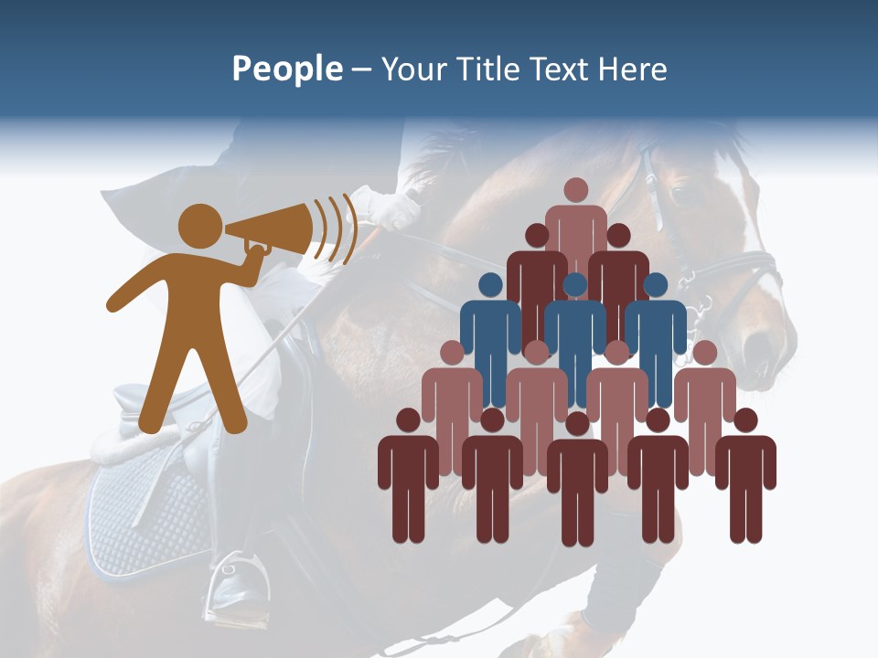 Stallion Caucasian Equine PowerPoint Template