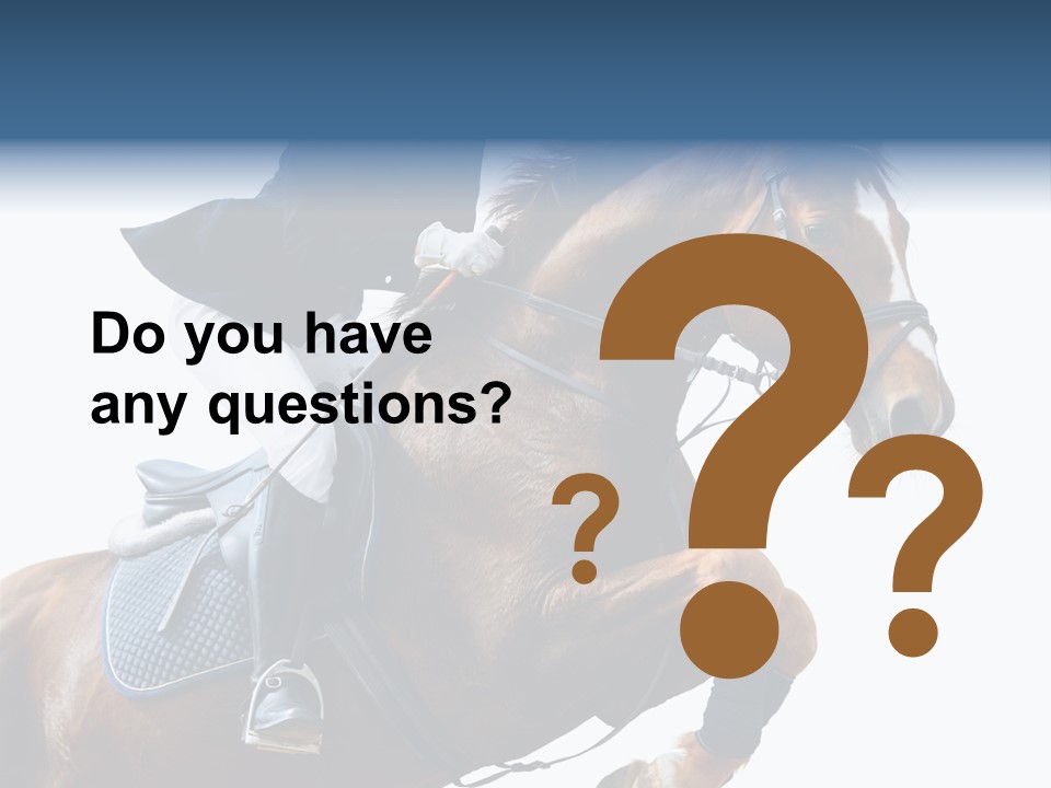 Stallion Caucasian Equine PowerPoint Template