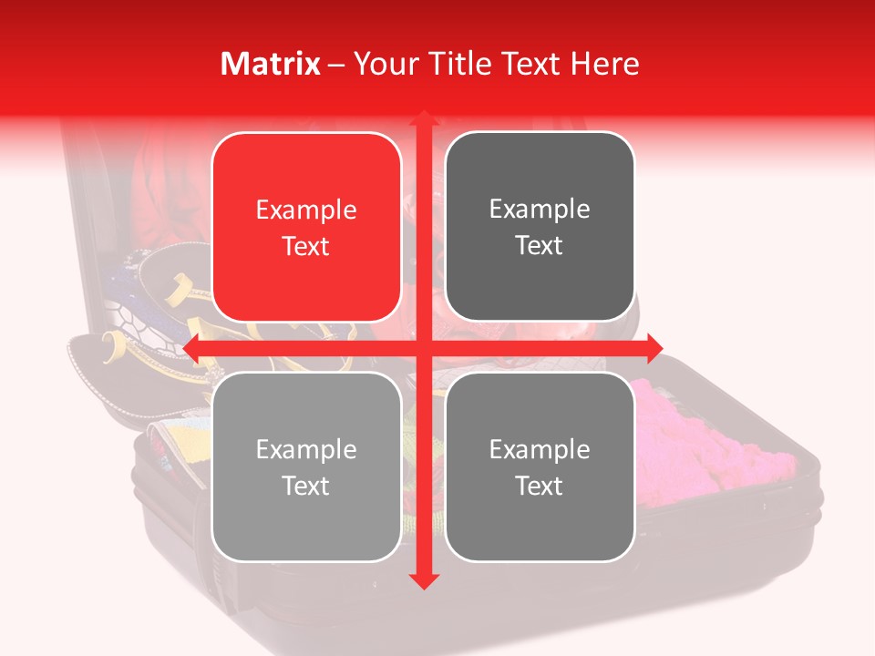 Skirt Background Camera PowerPoint Template