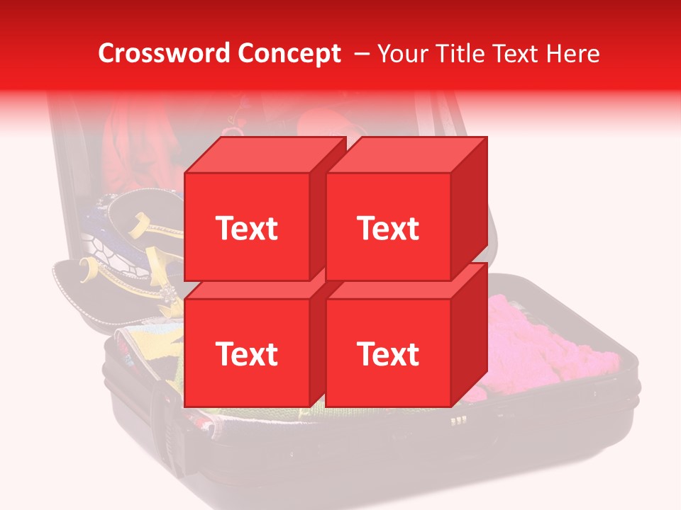 Skirt Background Camera PowerPoint Template