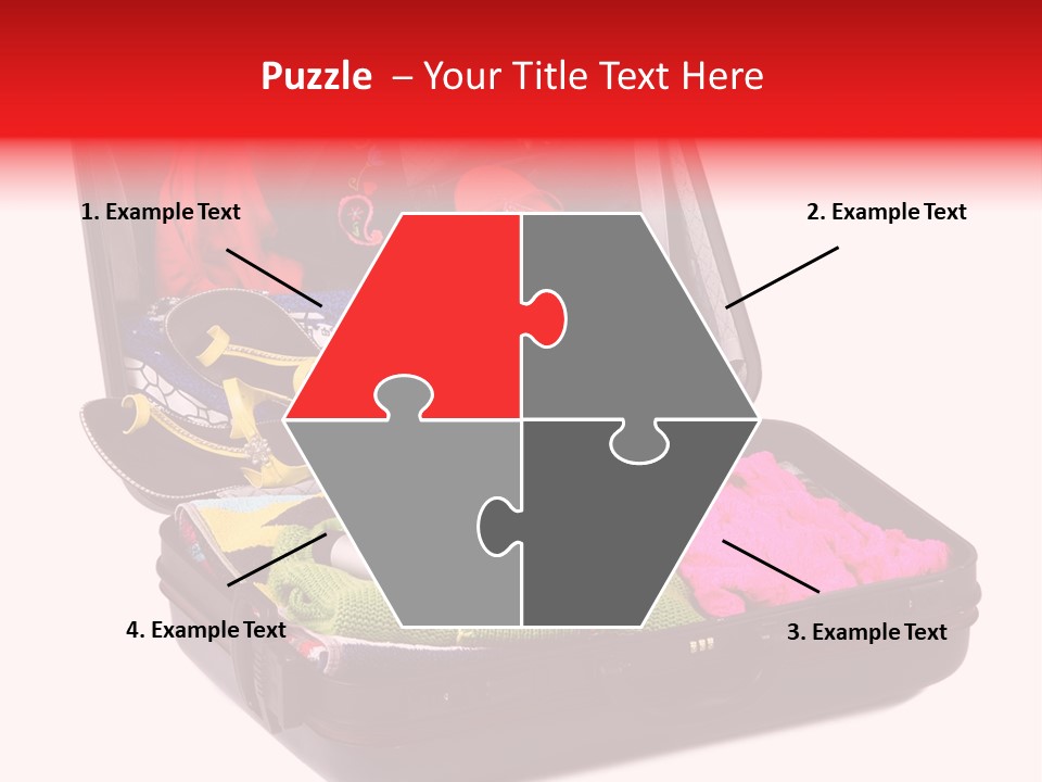 Skirt Background Camera PowerPoint Template