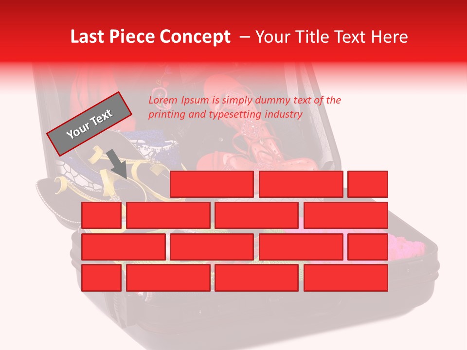 Skirt Background Camera PowerPoint Template