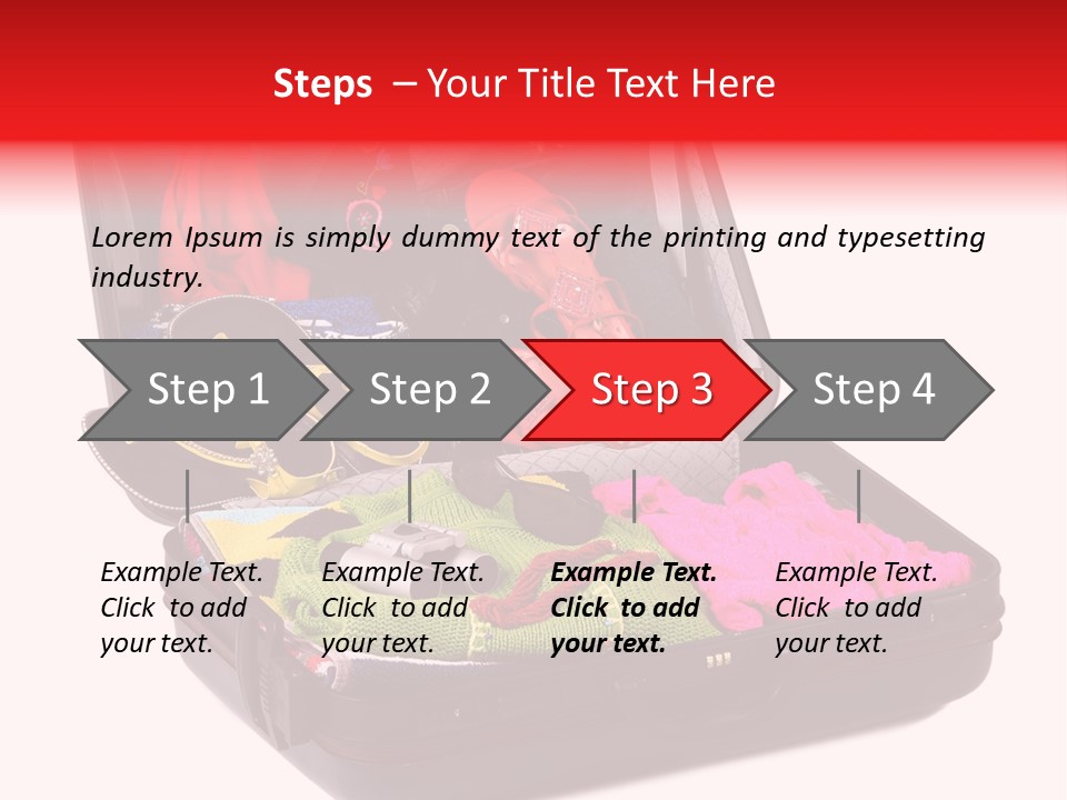 Skirt Background Camera PowerPoint Template