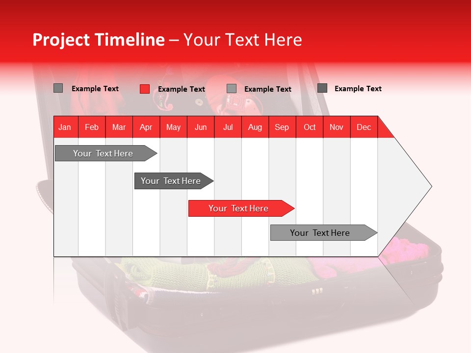 Skirt Background Camera PowerPoint Template