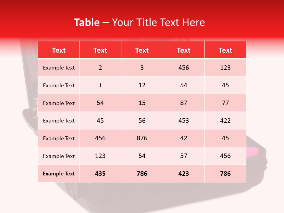 Skirt Background Camera PowerPoint Template