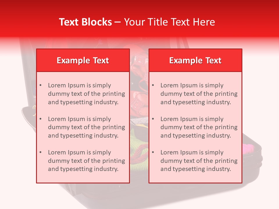 Skirt Background Camera PowerPoint Template