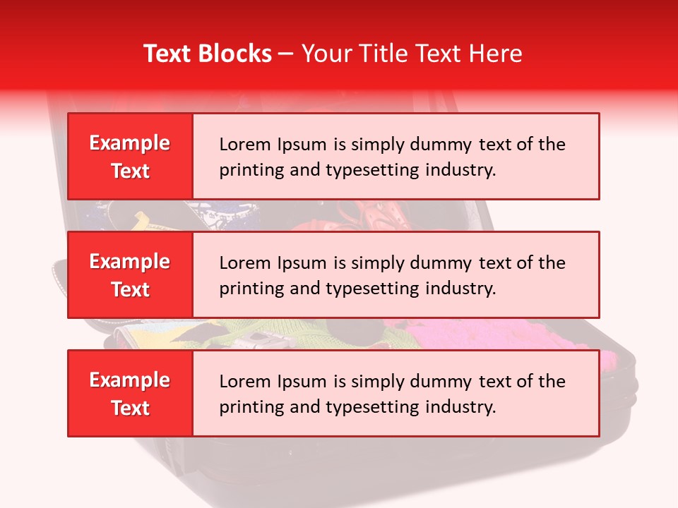 Skirt Background Camera PowerPoint Template