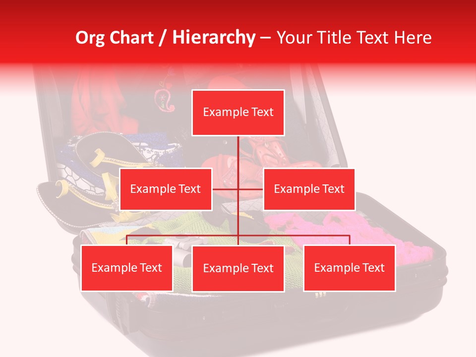 Skirt Background Camera PowerPoint Template