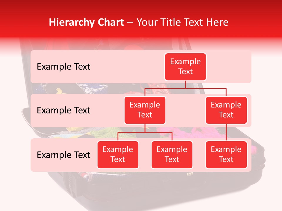 Skirt Background Camera PowerPoint Template