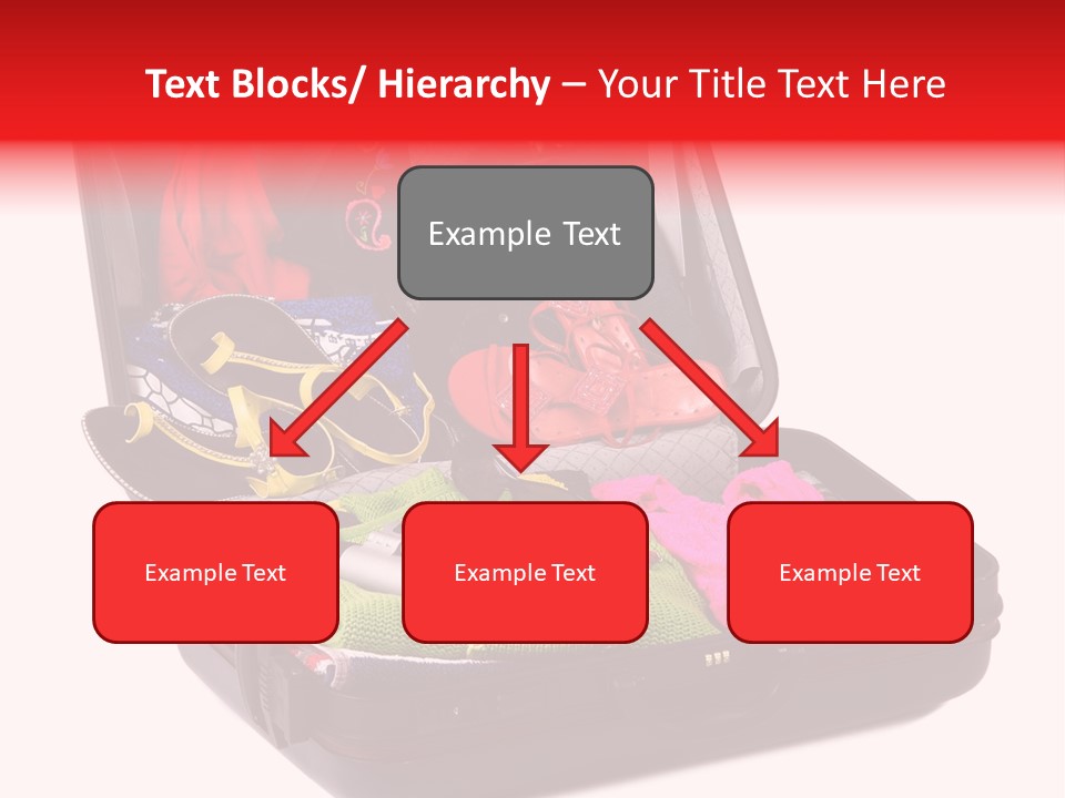 Skirt Background Camera PowerPoint Template