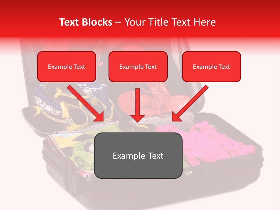 Skirt Background Camera PowerPoint Template