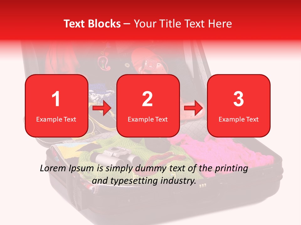 Skirt Background Camera PowerPoint Template