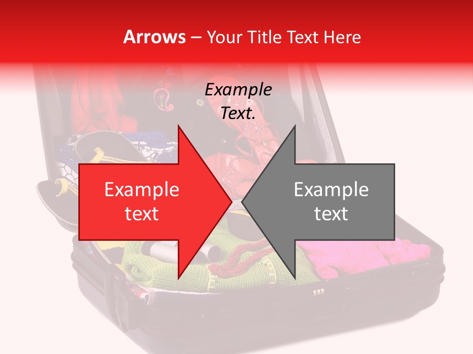 Skirt Background Camera PowerPoint Template