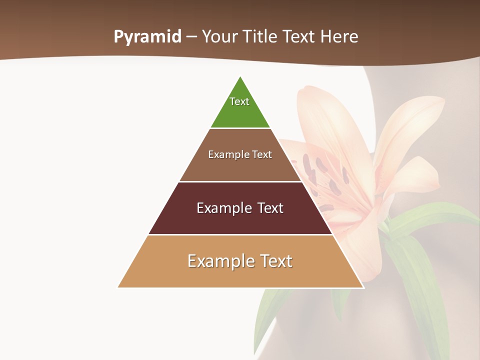 Health Life Corporeal PowerPoint Template