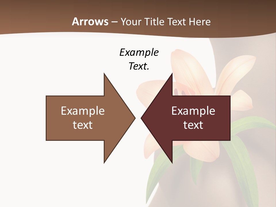 Health Life Corporeal PowerPoint Template