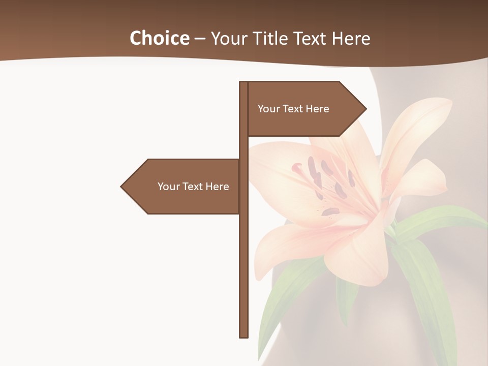 Health Life Corporeal PowerPoint Template