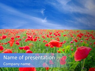 Rural Blossom Landscape PowerPoint Template