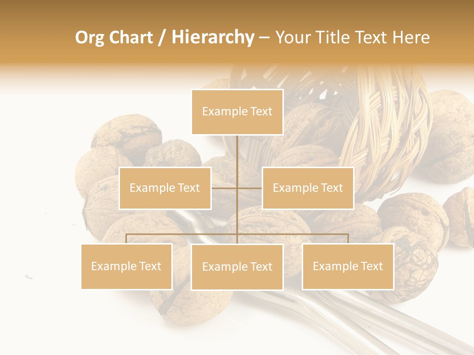 Round Nut Basket PowerPoint Template