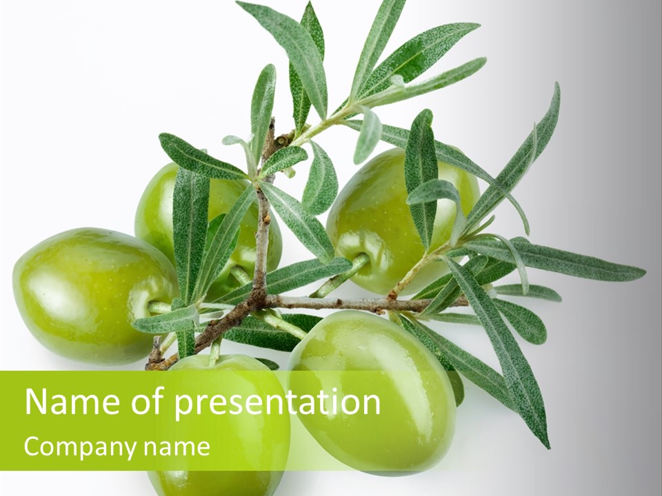 Mediterranean Vegetarian Herb PowerPoint Template