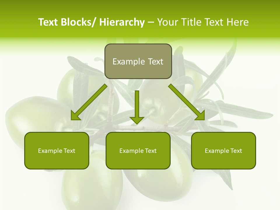 Mediterranean Vegetarian Herb PowerPoint Template
