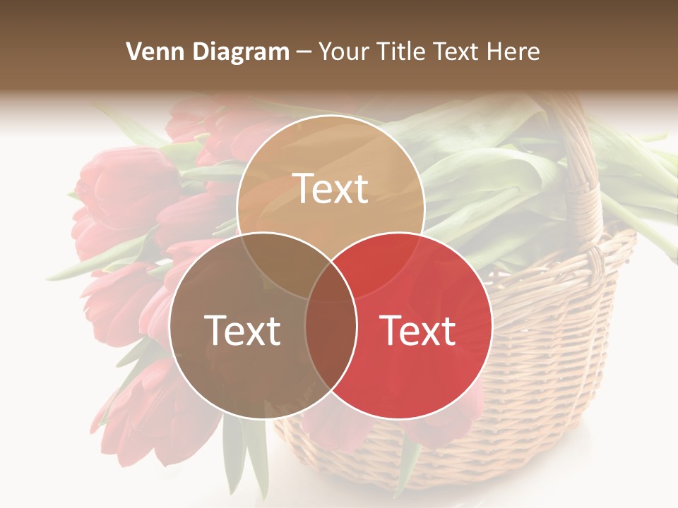 Green Red Decoration PowerPoint Template