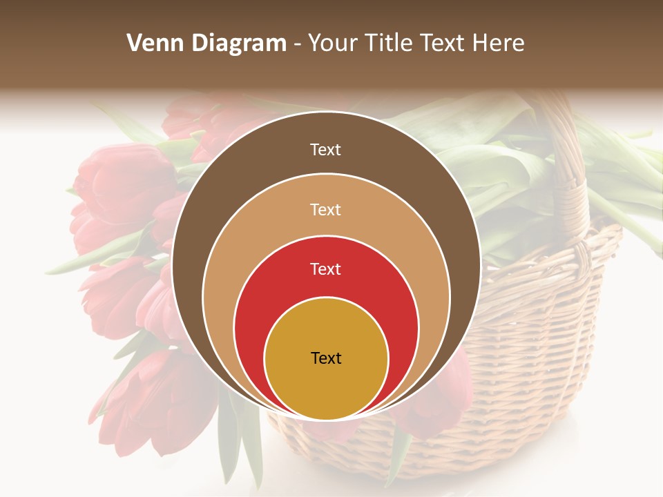 Green Red Decoration PowerPoint Template