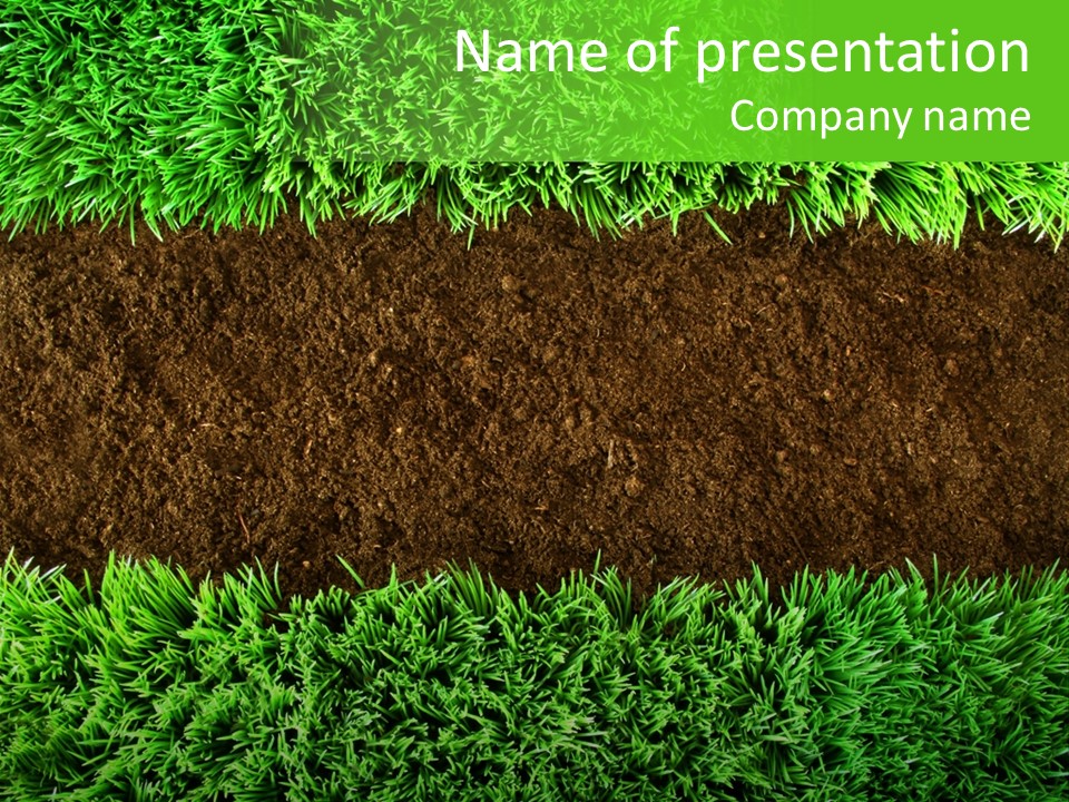 Summer Healthy Grow PowerPoint Template