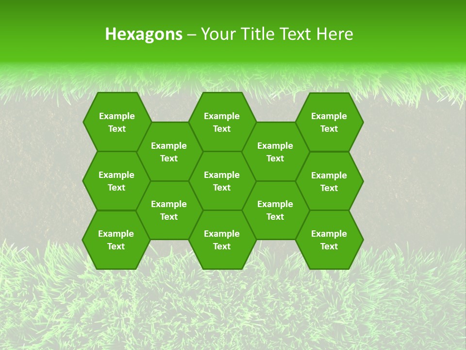 Summer Healthy Grow PowerPoint Template