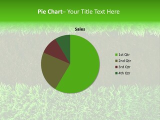 Summer Healthy Grow PowerPoint Template