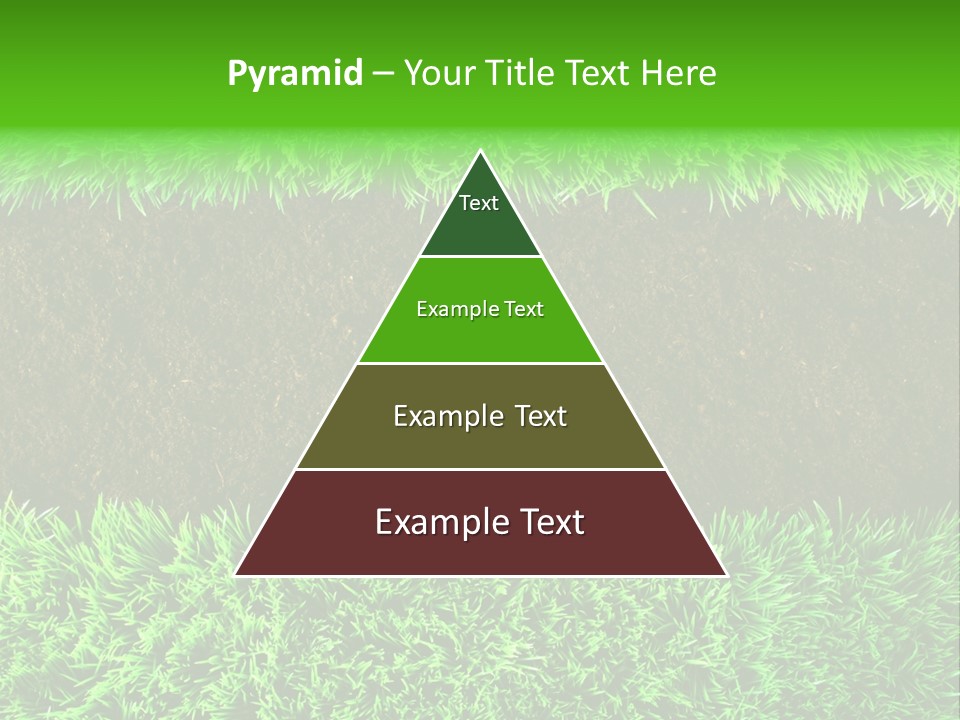 Summer Healthy Grow PowerPoint Template