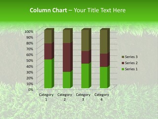 Summer Healthy Grow PowerPoint Template