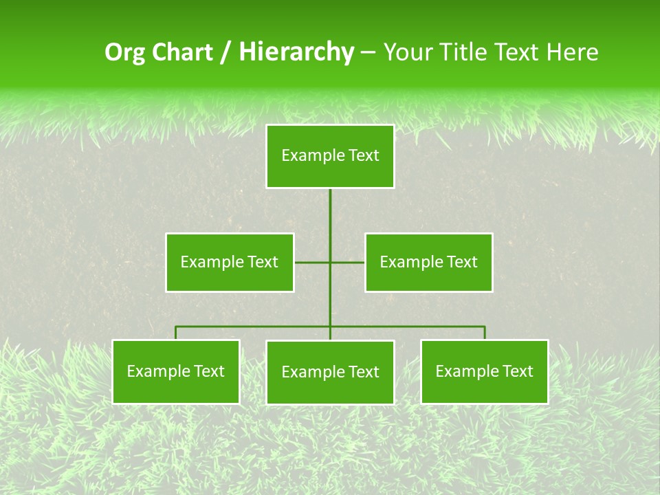 Summer Healthy Grow PowerPoint Template