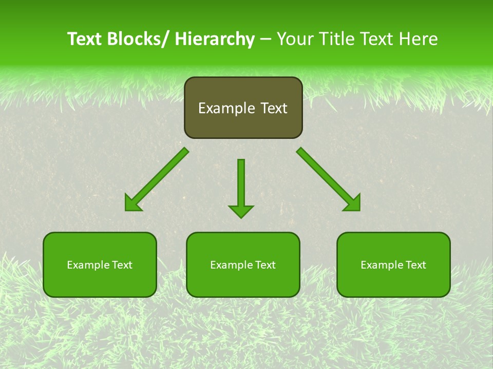 Summer Healthy Grow PowerPoint Template