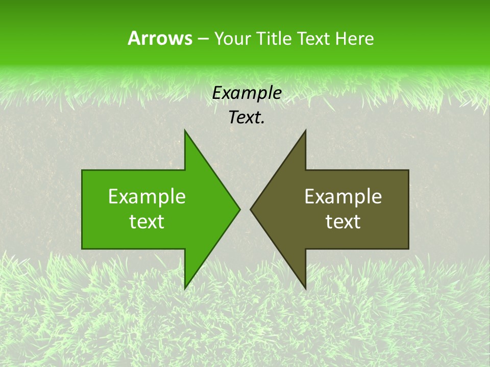 Summer Healthy Grow PowerPoint Template