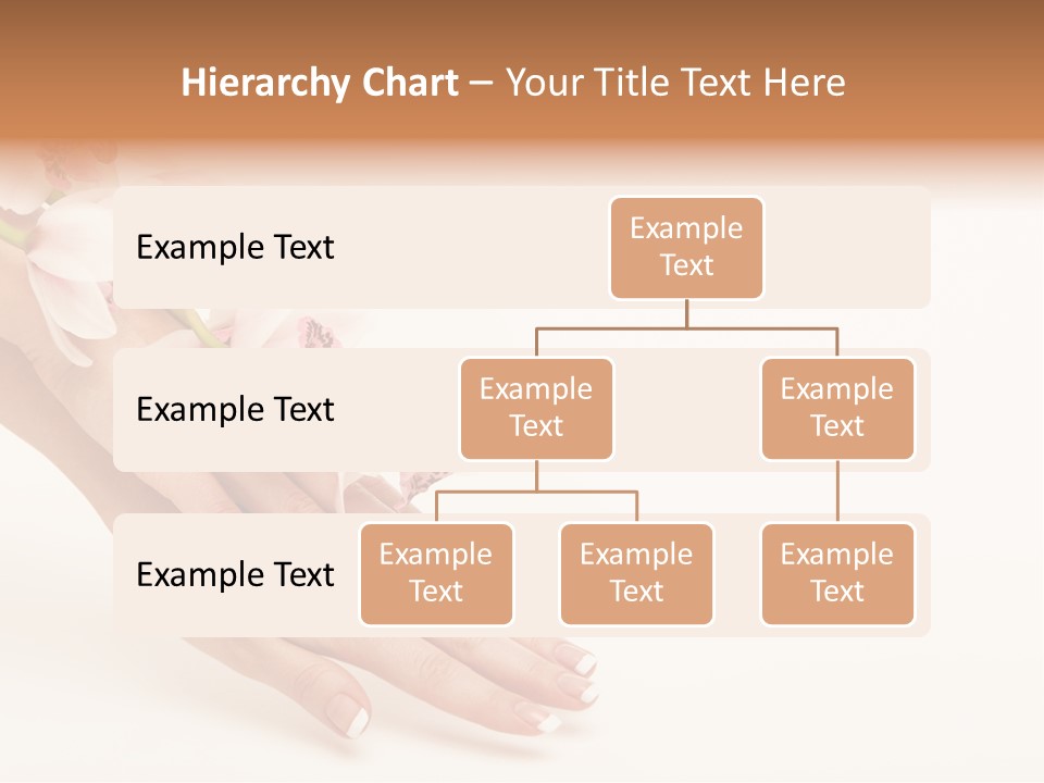 Floral French Feminine PowerPoint Template