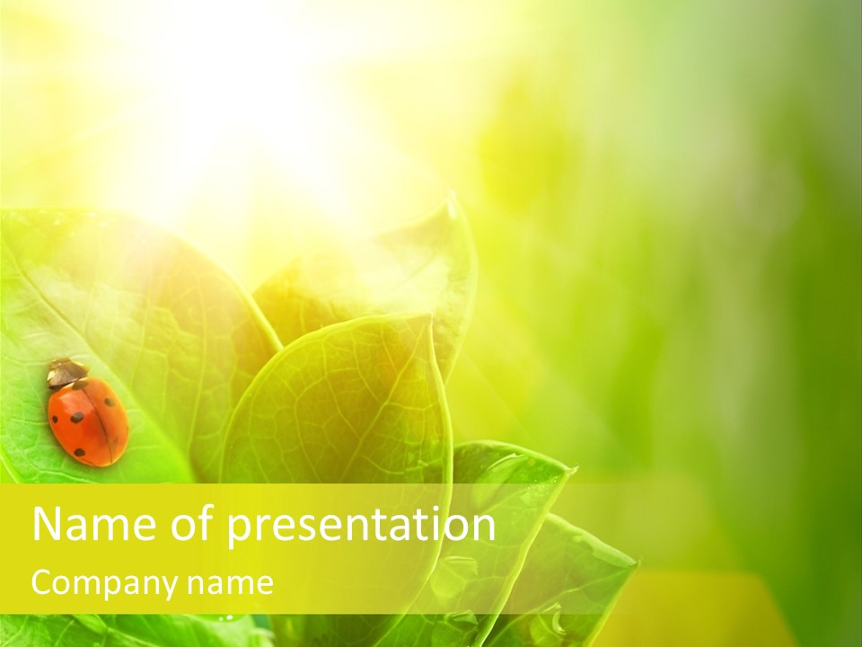 Natural Leaf Spring PowerPoint Template