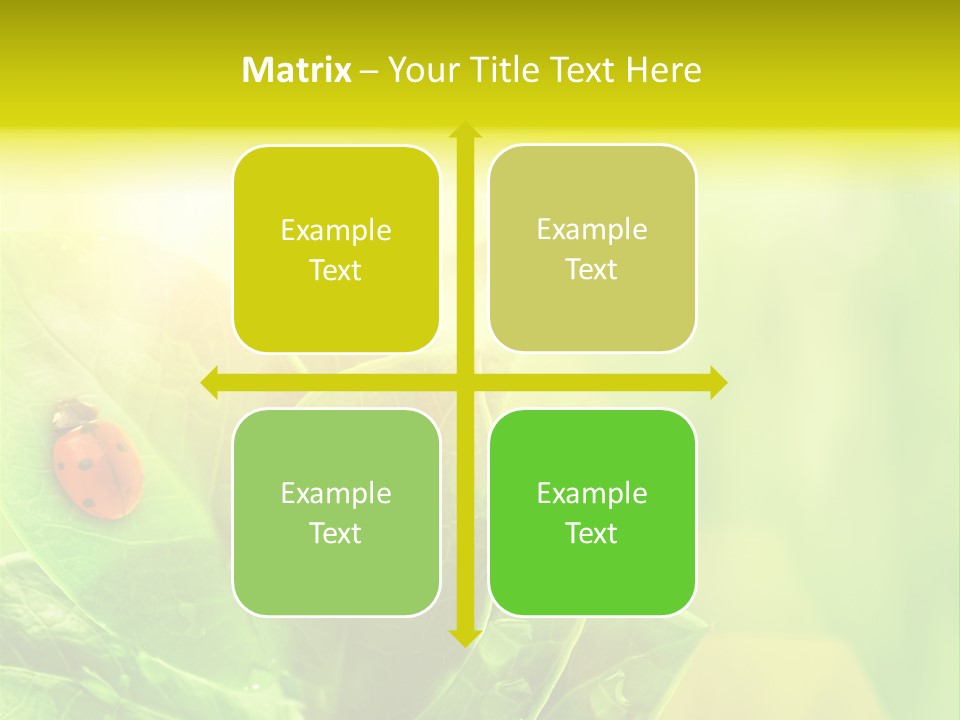 Natural Leaf Spring PowerPoint Template