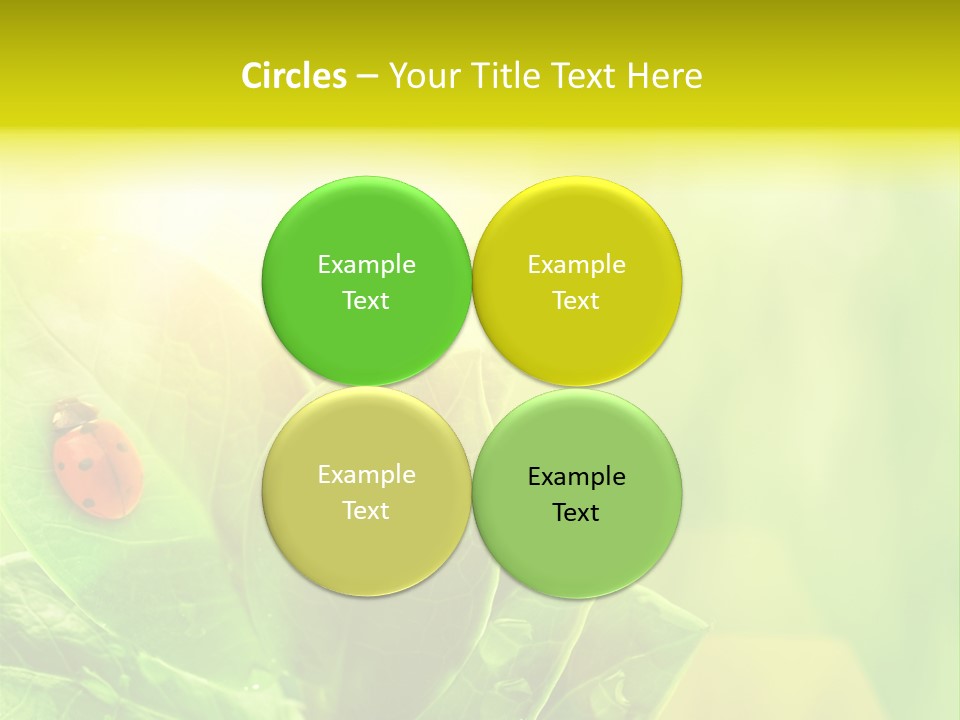 Natural Leaf Spring PowerPoint Template