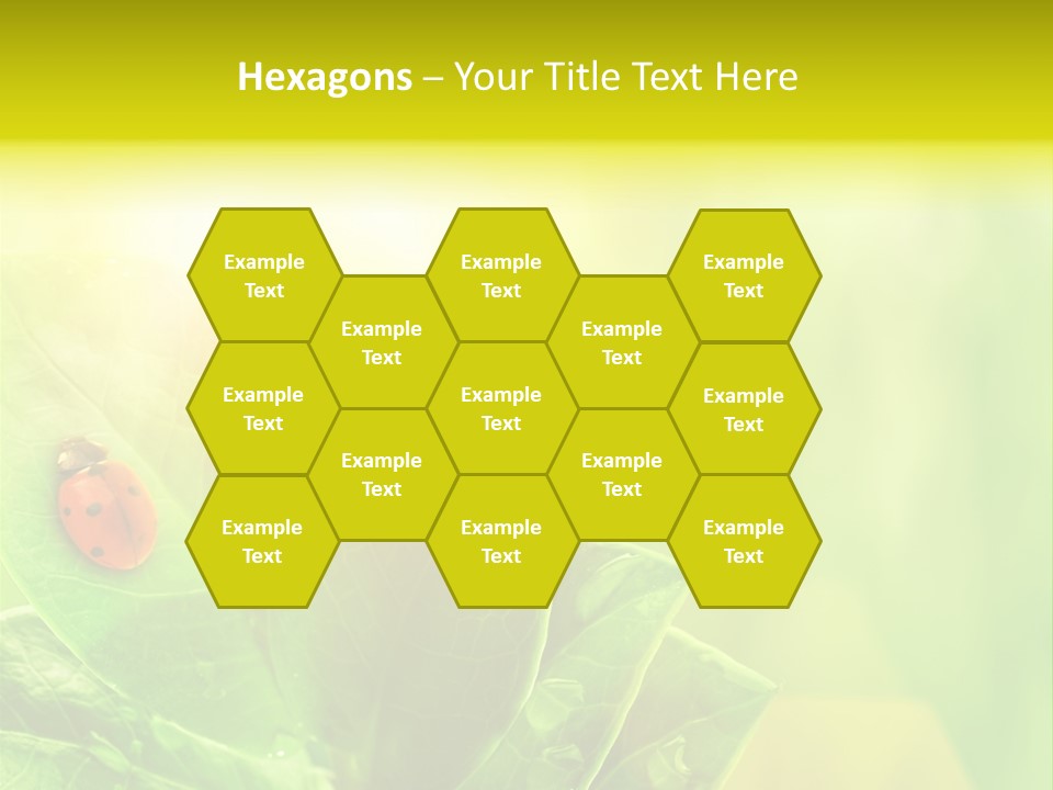 Natural Leaf Spring PowerPoint Template