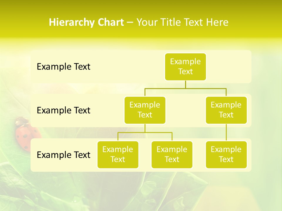 Natural Leaf Spring PowerPoint Template