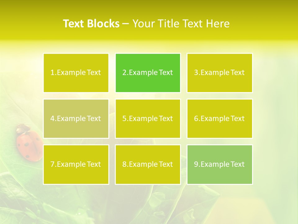 Natural Leaf Spring PowerPoint Template