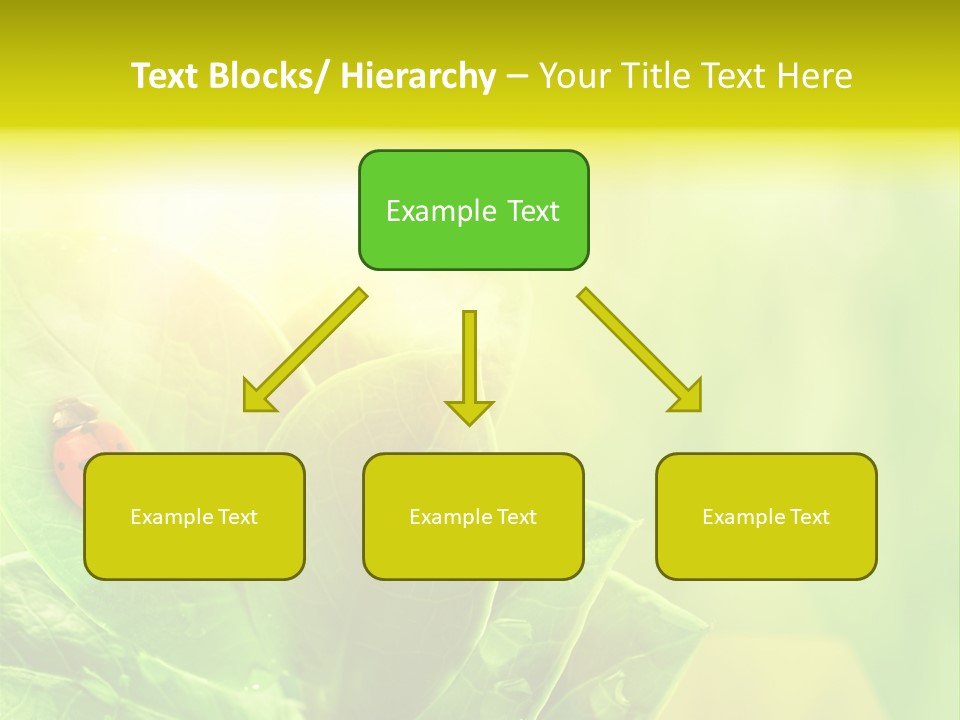 Natural Leaf Spring PowerPoint Template
