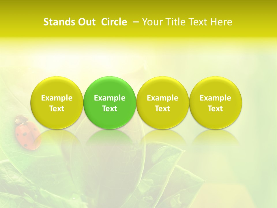 Natural Leaf Spring PowerPoint Template