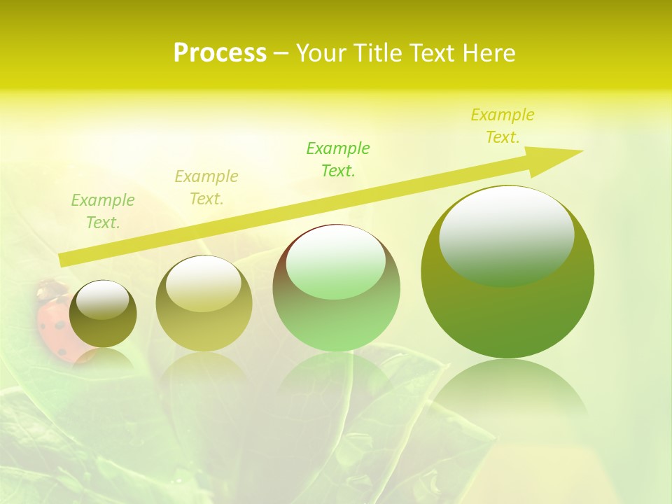 Natural Leaf Spring PowerPoint Template