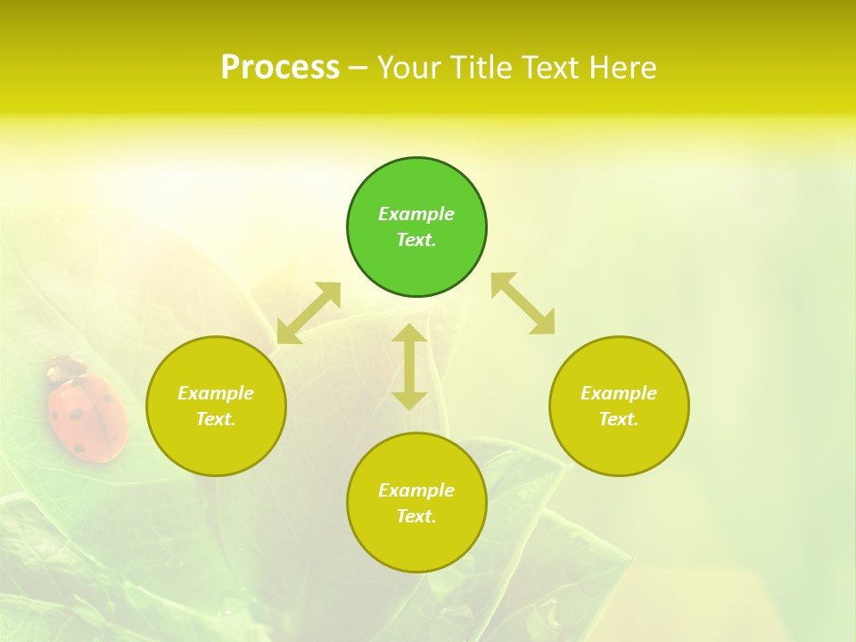 Natural Leaf Spring PowerPoint Template