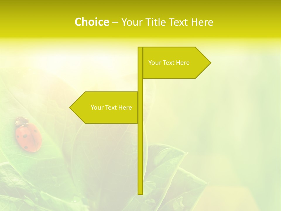 Natural Leaf Spring PowerPoint Template