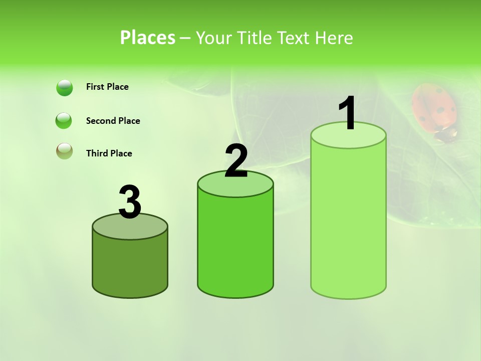 Detail Design Sitting PowerPoint Template