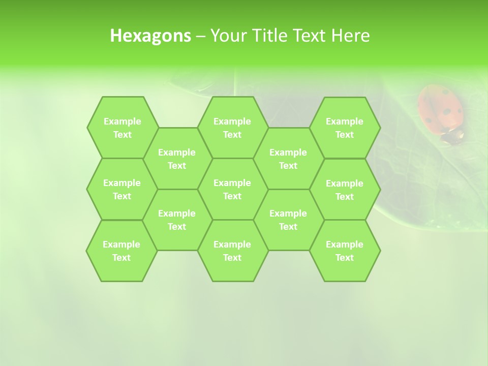 Detail Design Sitting PowerPoint Template