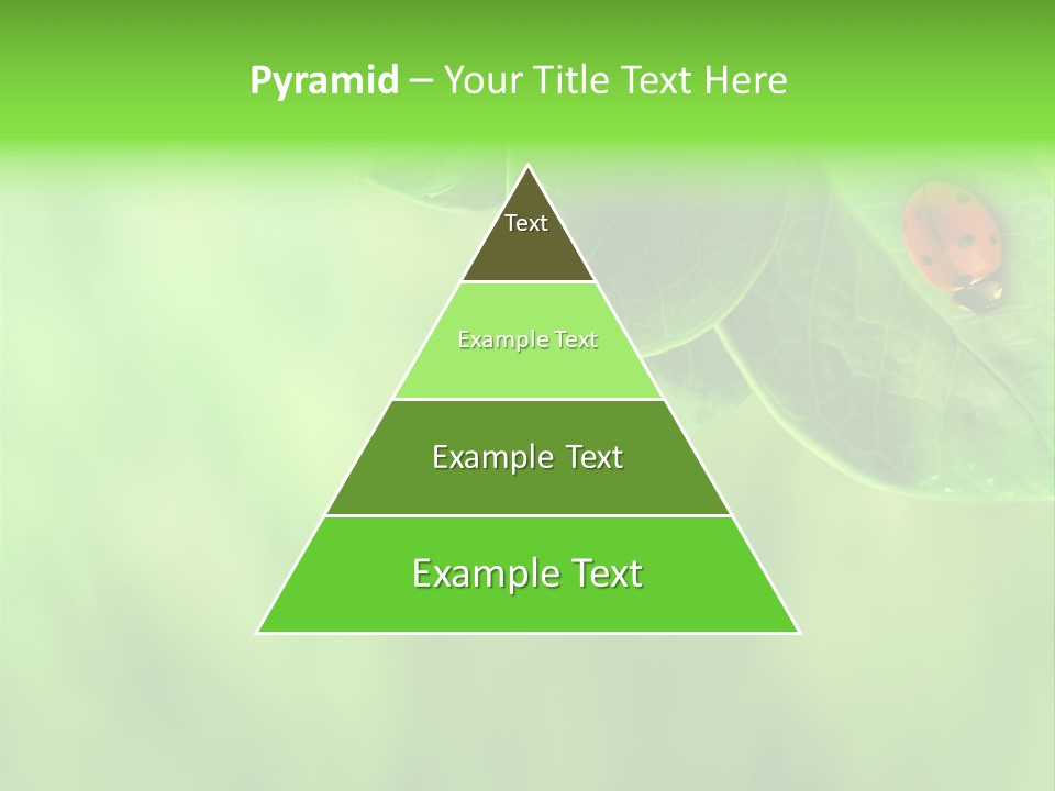 Detail Design Sitting PowerPoint Template